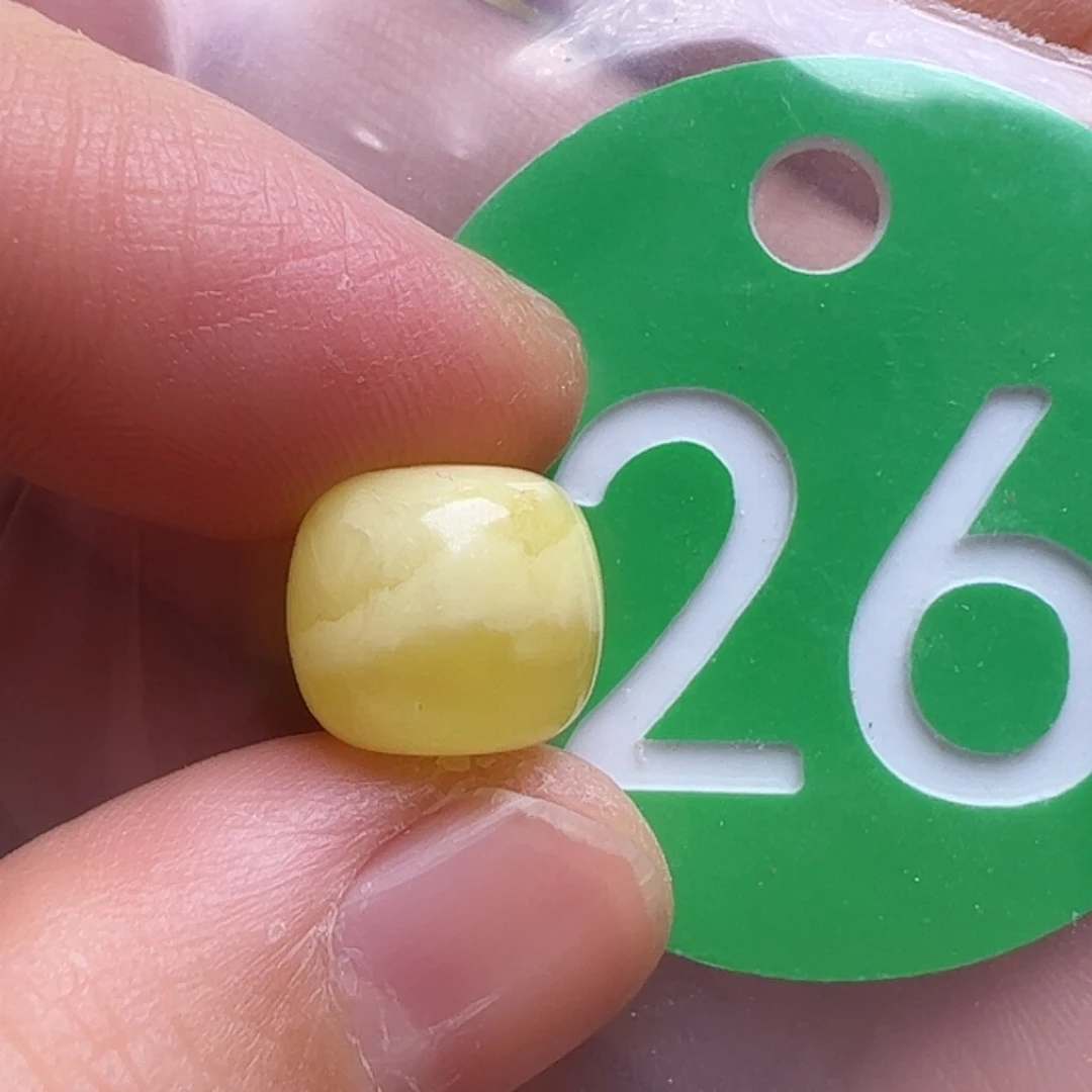 蜜蜡未镶嵌珠宝奇石10.5mm花粉
