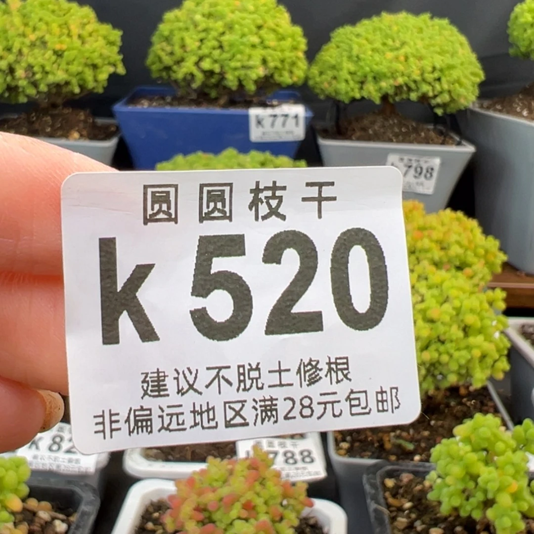【闪购商品】°**魚k520爱鱼的第5个链接