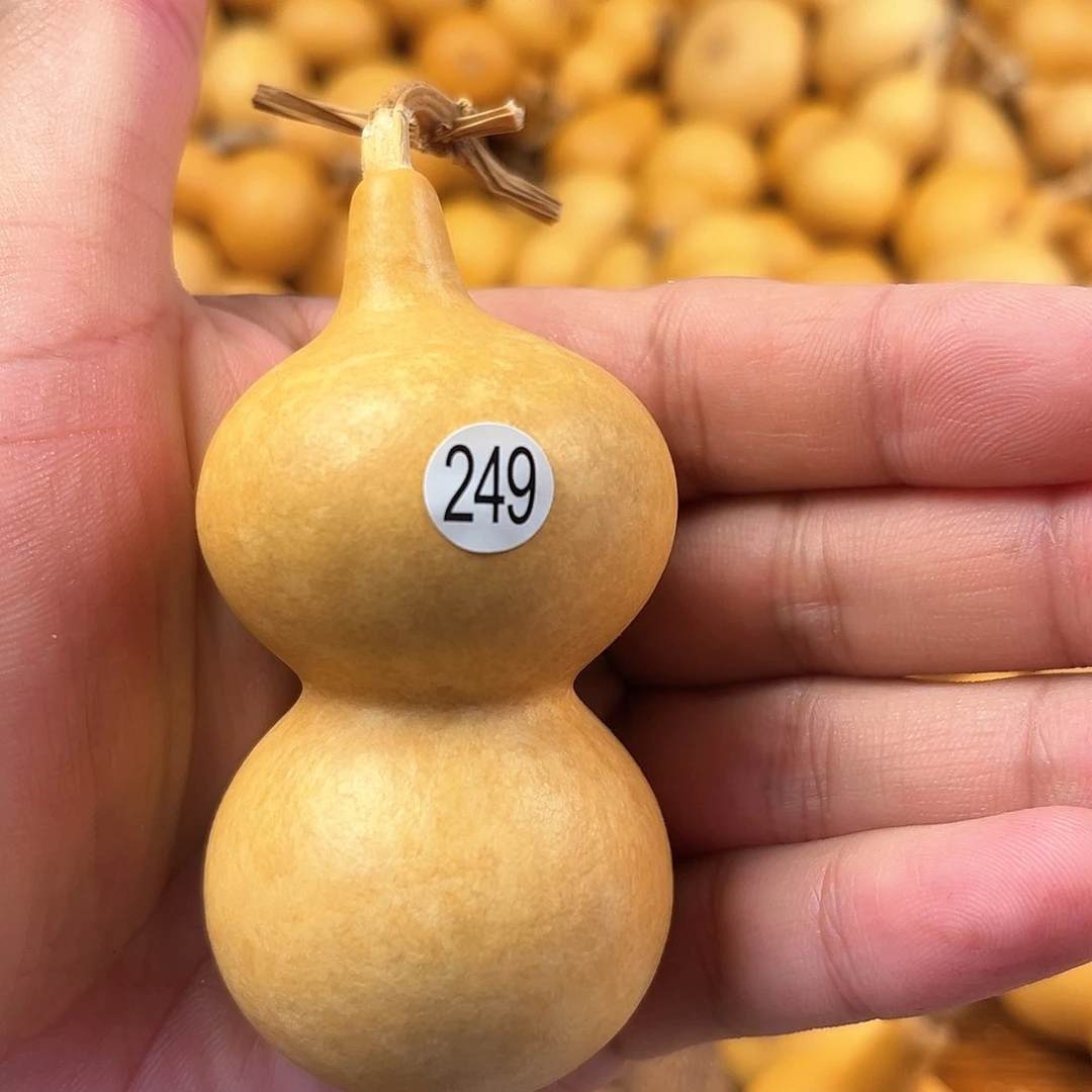 五葫芦葫芦葫芦葫芦 249