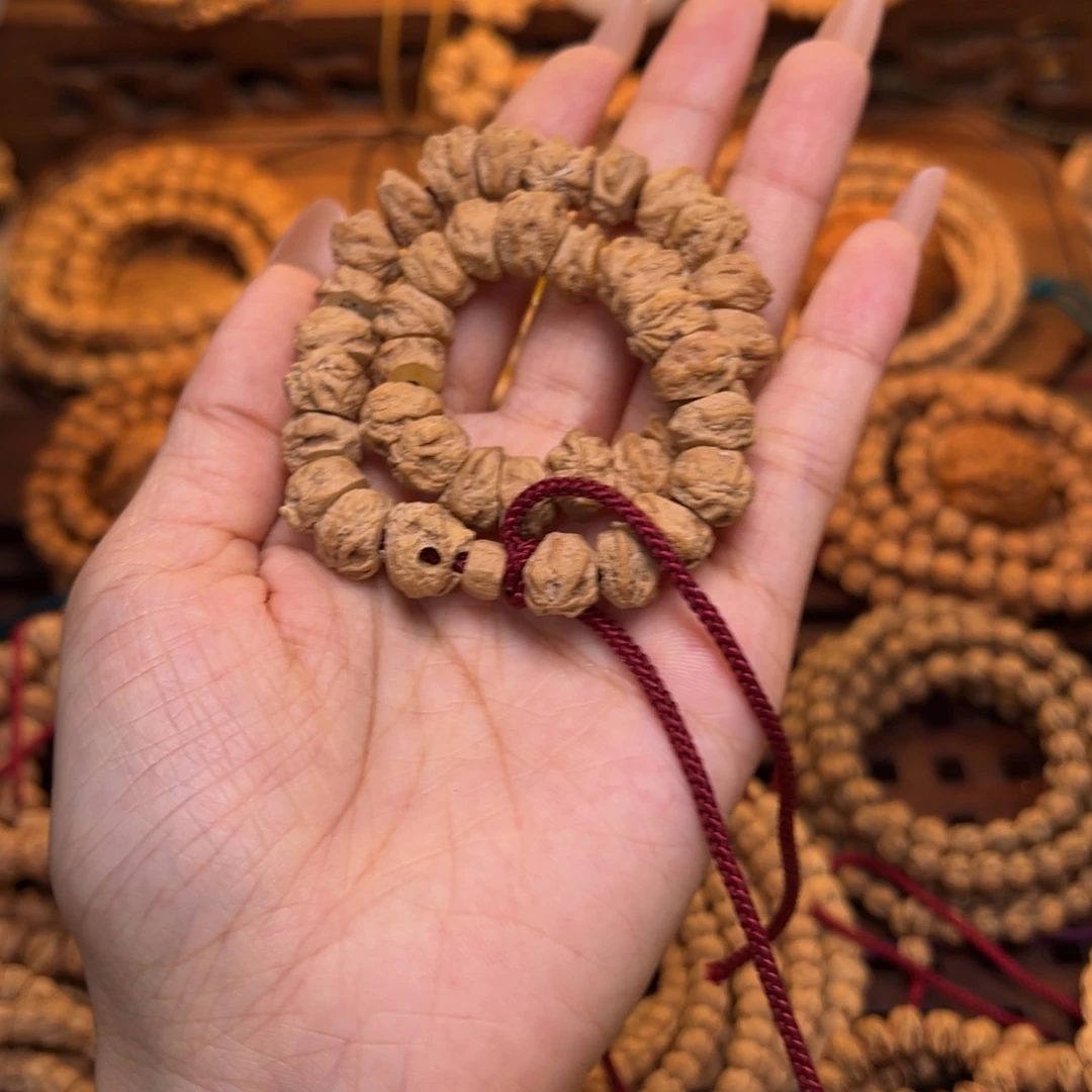 上***岸木质类菊花底大肠