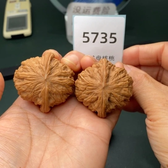 把件文玩核桃42全品正磨5735