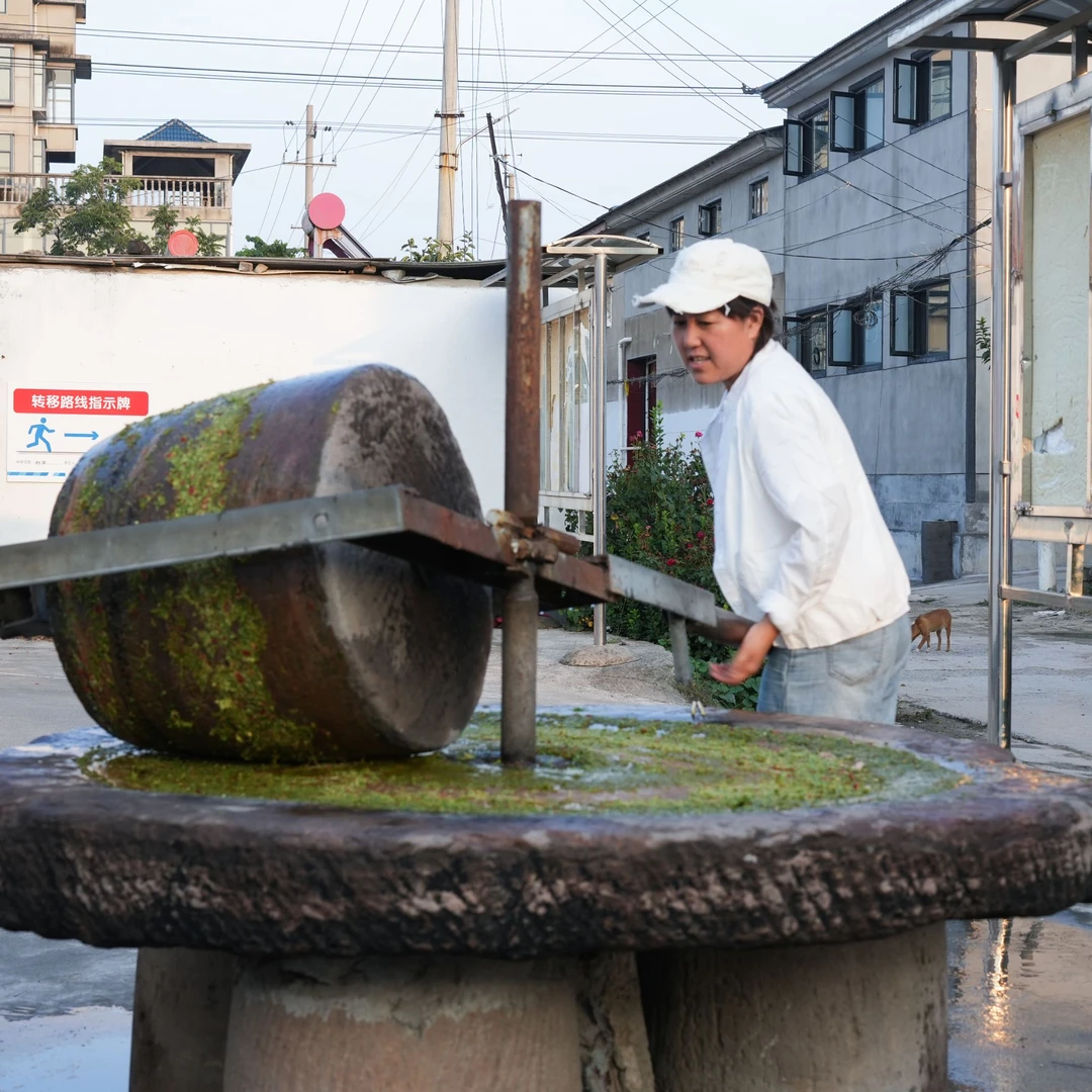 山东兰陵传统石碾韭菜花酱新鲜手工韭菜花美味下饭拌饭酱火锅酱