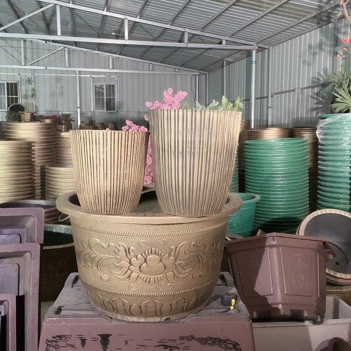 梅花照眼 依然旧风味