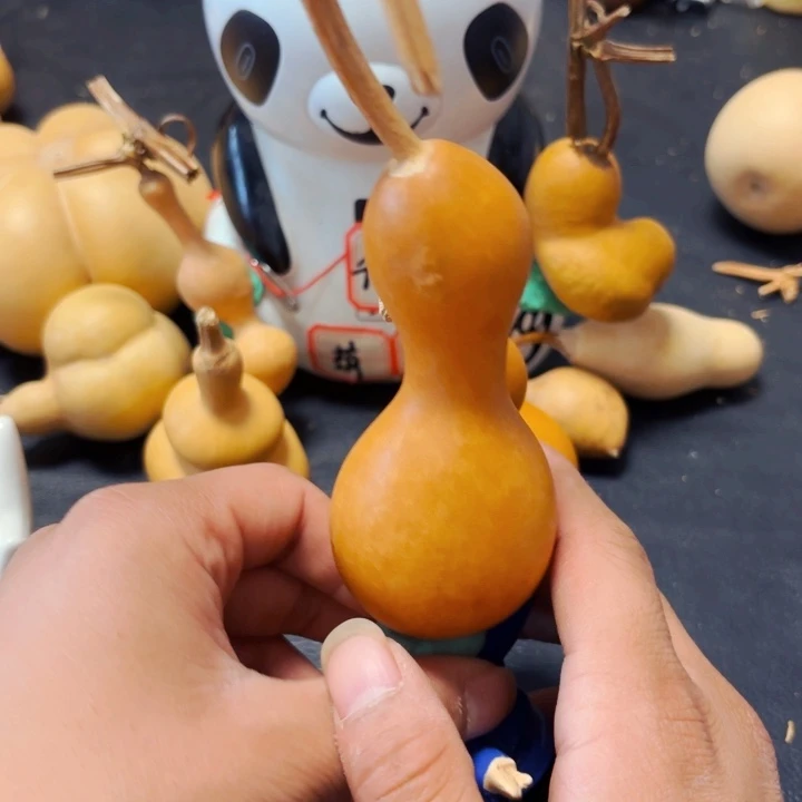 ?****88888888888888888