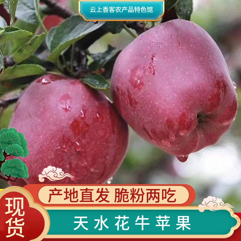 （中果）甘肃正宗天水花牛苹果新鲜水果老人宝宝辅食脆粉两吃