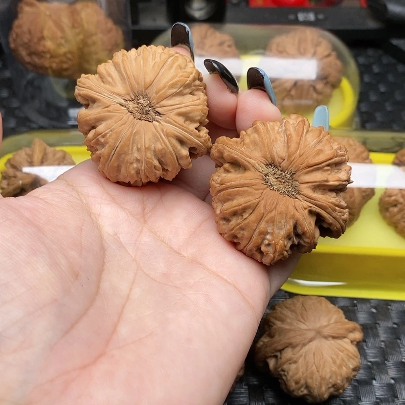 【闪购商品】把件桃核东**炮