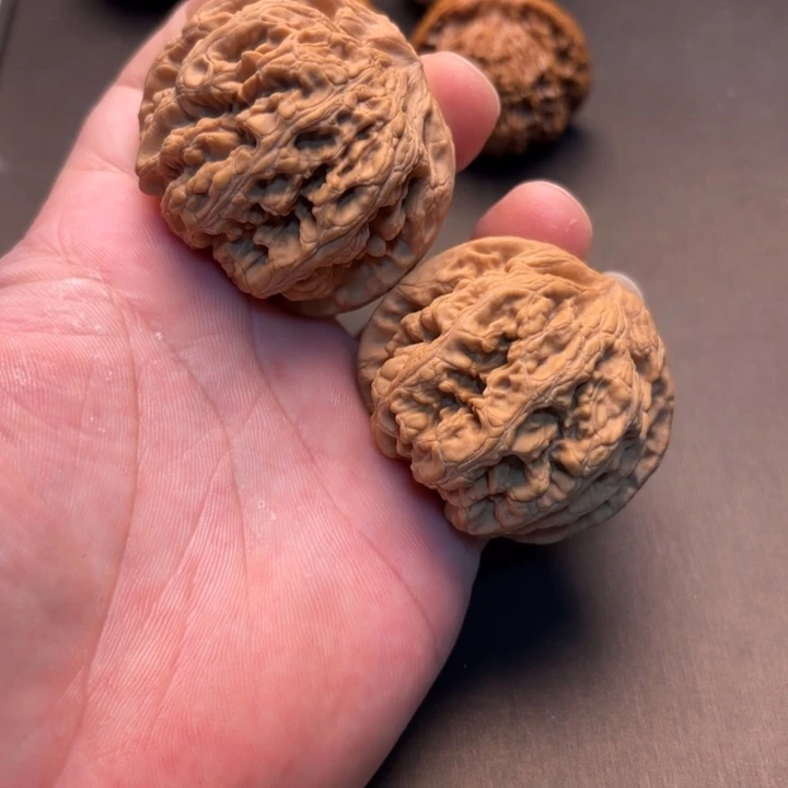 图***。大叶紫檀（黑酸枝木类）粗筋