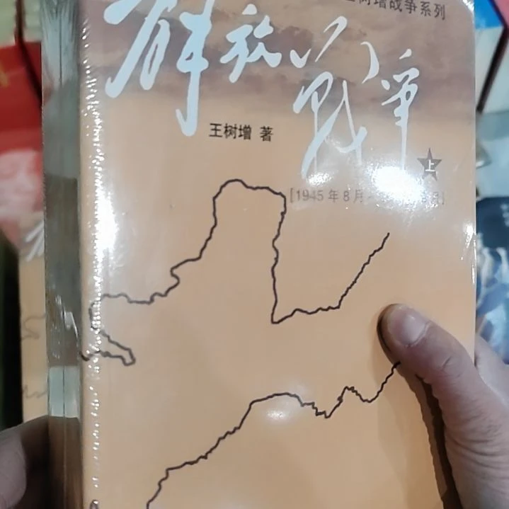 解放战争王树增解放战争