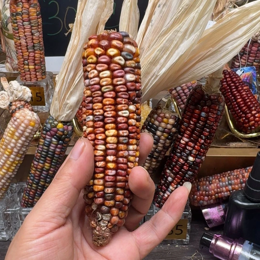 柏香籽/百香籽吊坠佩**姐