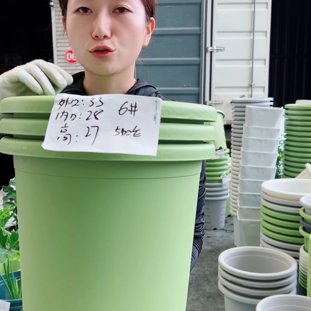 四季盆6#果绿5个无托