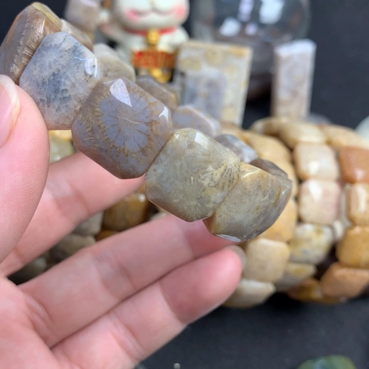 【闪购商品】硅化珊瑚（珊瑚玉）颈饰未镶嵌二*姐