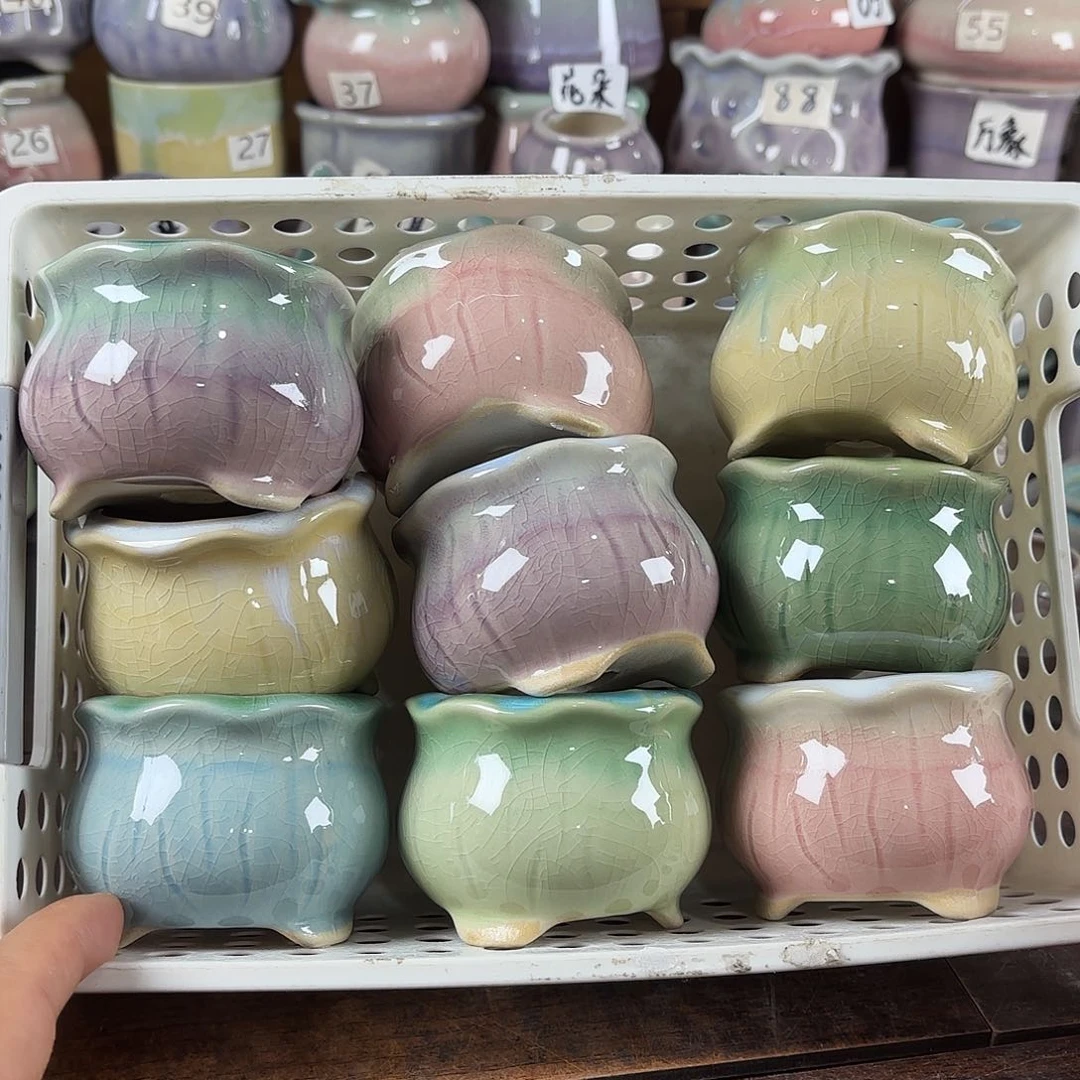 量货/5.5-7口高5.5深浅搭配发6