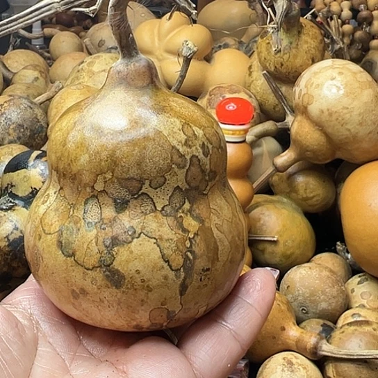 立*葫芦葫芦葫芦葫芦