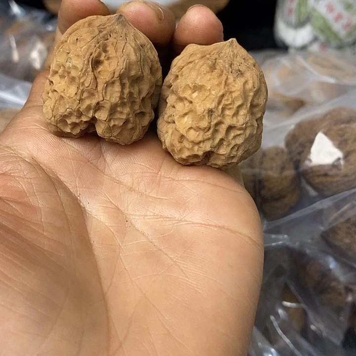 核桃云南铁核桃基地52