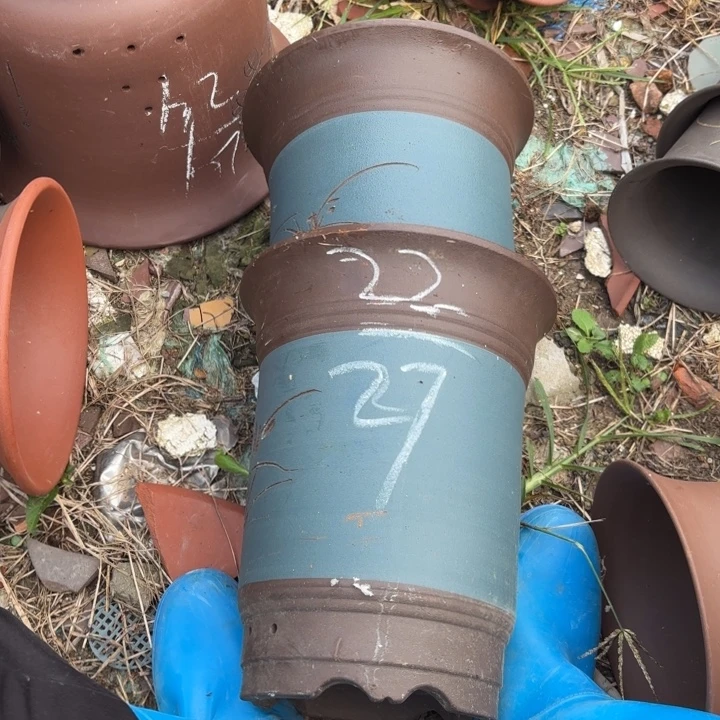 紫砂花盆紫砂的花