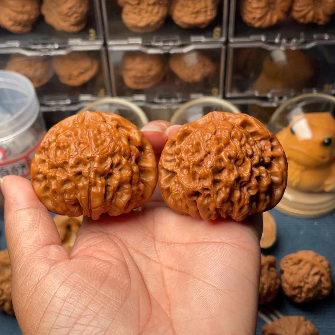 文玩核桃把件52+龙鼎