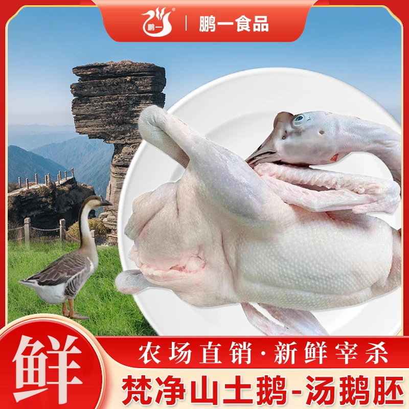 【京东包邮】梵净山土鹅（汤鹅专用）120天的散养土鹅新鲜现杀