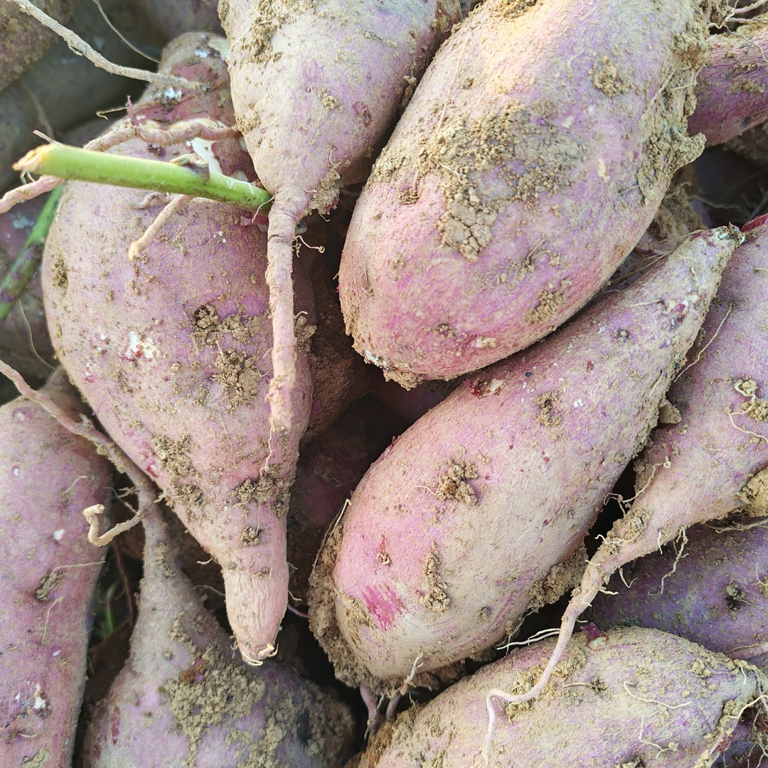 湘西新鲜季节瓜果