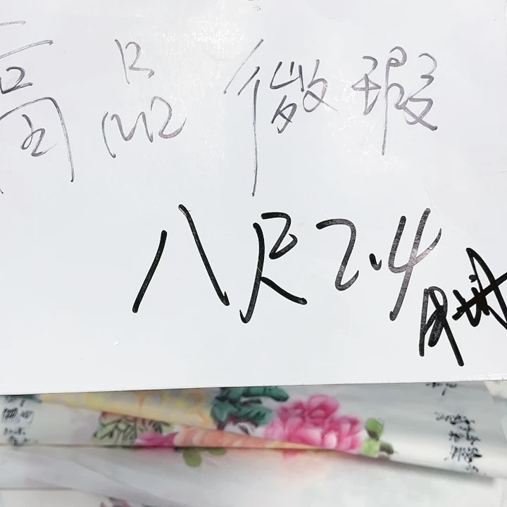 国画我是一只小小鸟地域的人