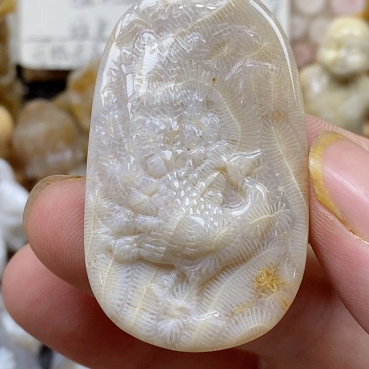 颈饰未镶嵌硅化珊瑚（珊瑚玉）小
