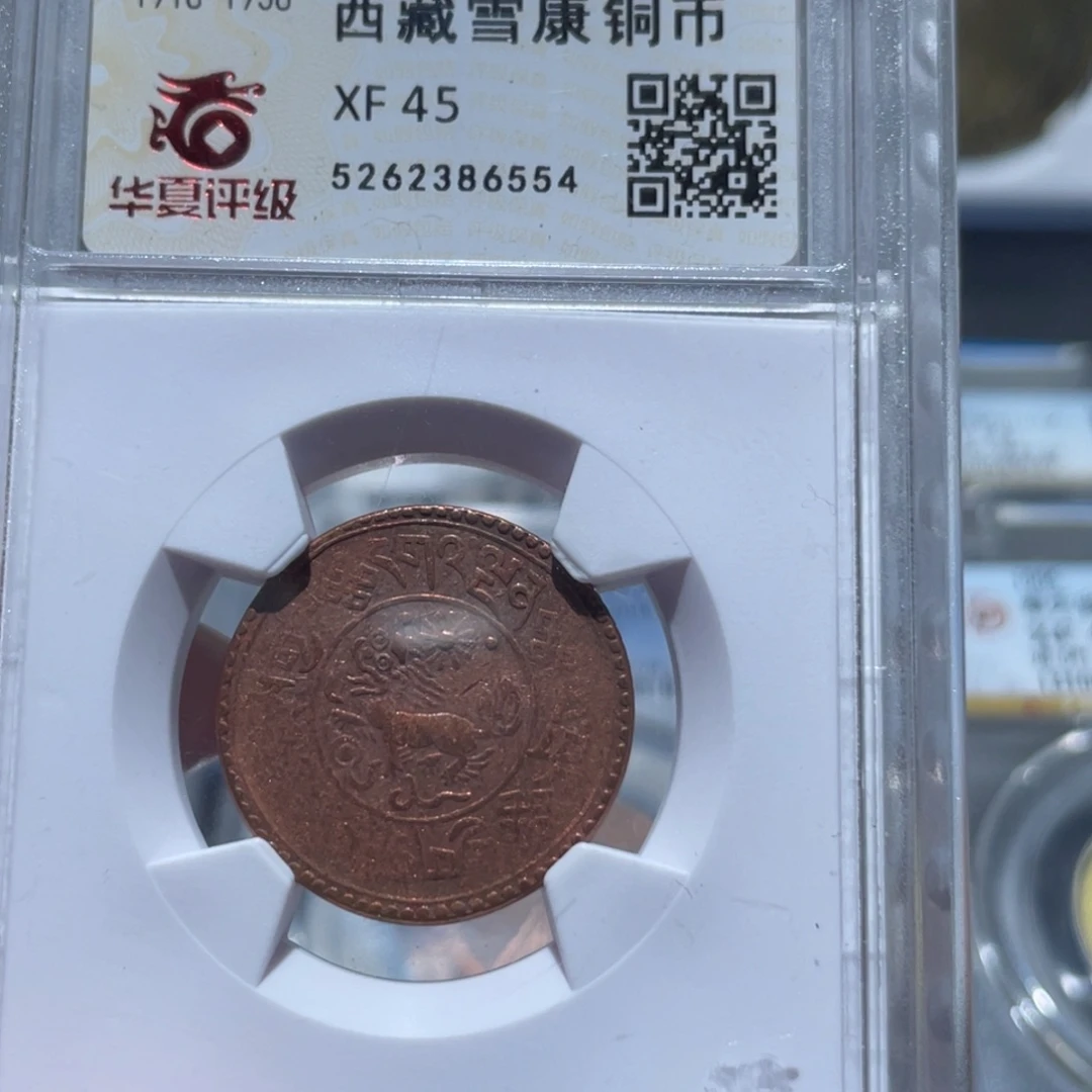 金属林*通古博今姚姚6554