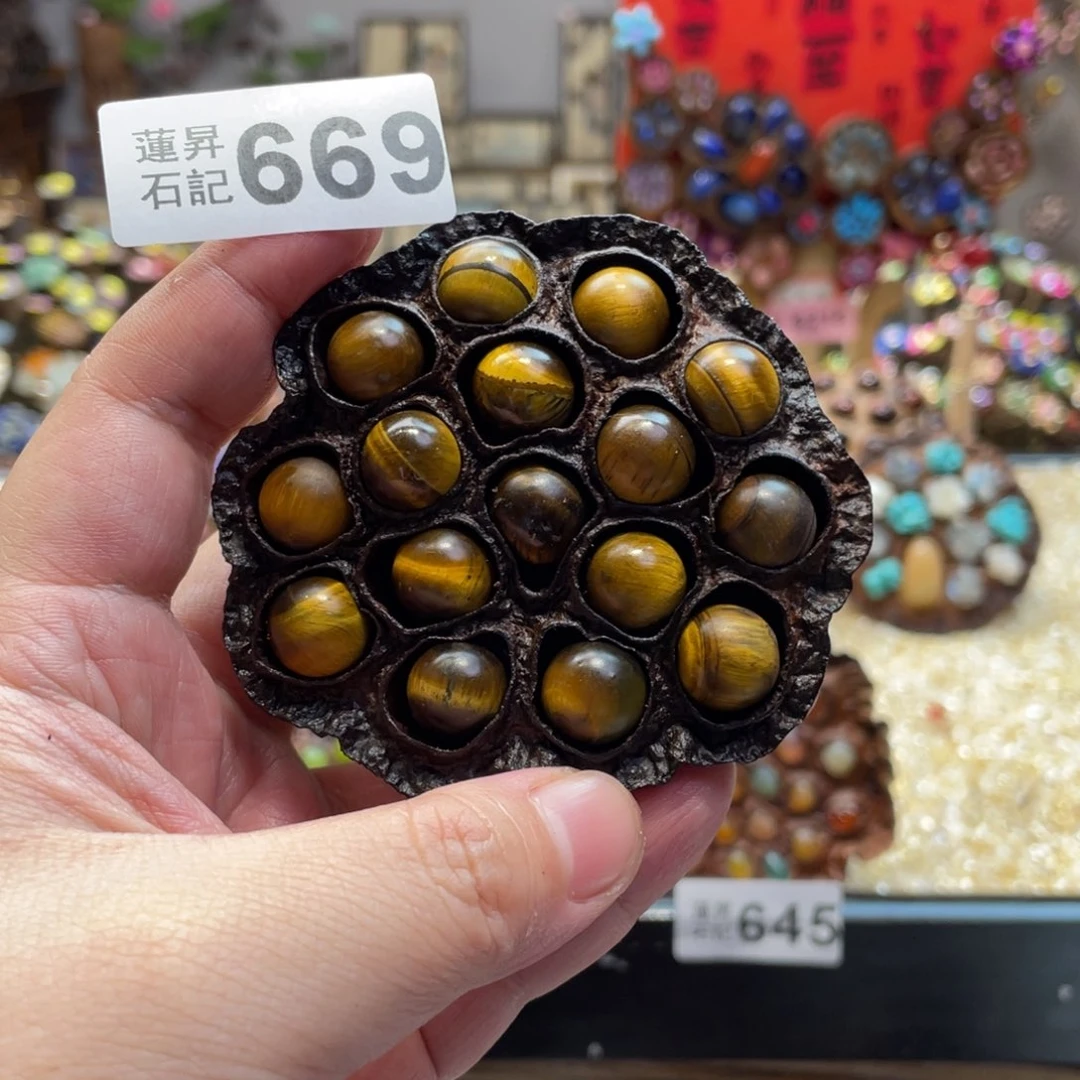 核桃木/黑胡桃（胡桃木）669