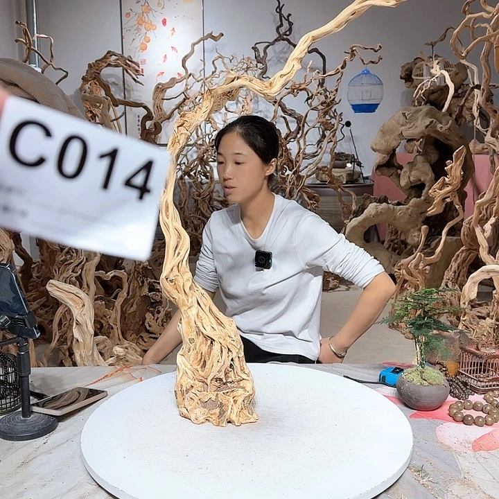 风车木（黑檀木）和*何