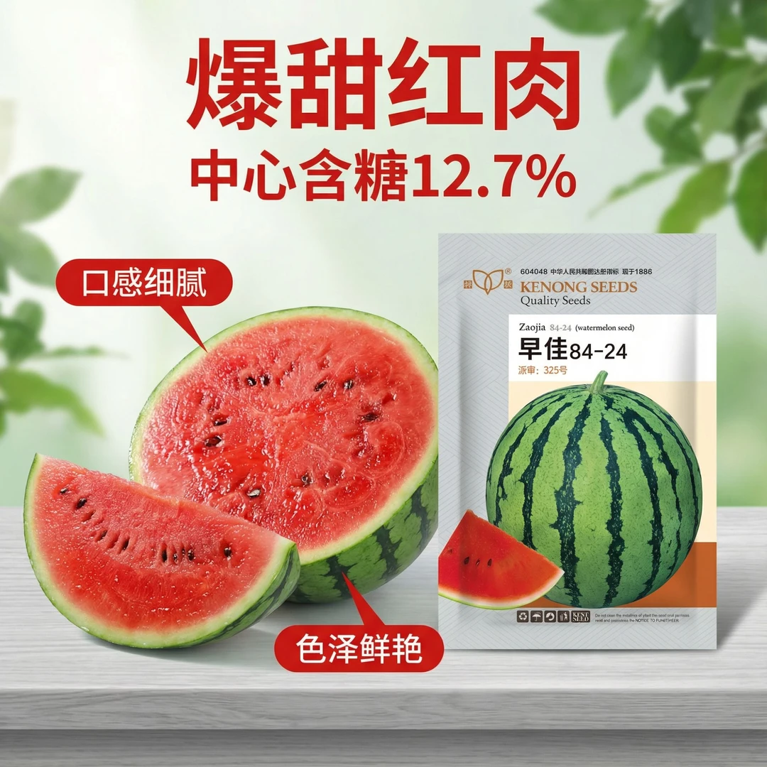 【早佳84-24】西瓜种阳台盆栽庭院皆宜早熟不裂果高甜大红瓤好种