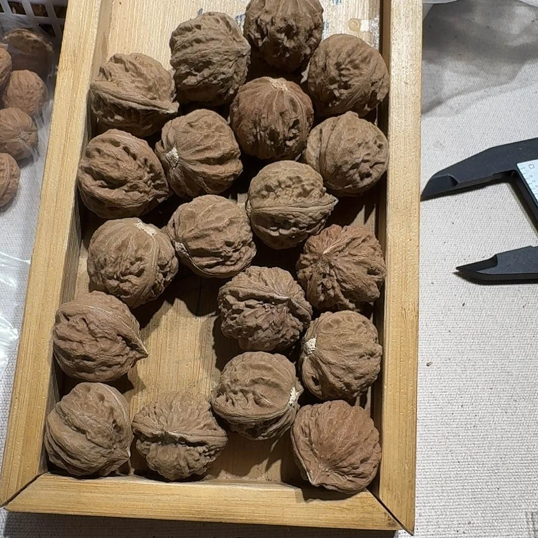 核桃手串/手链54号边27手持