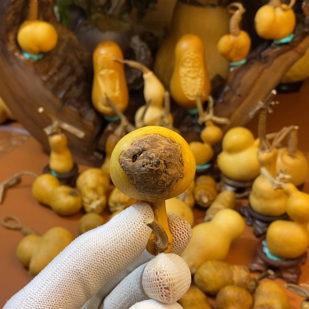 休***止哭哭哭哭葫芦考虑