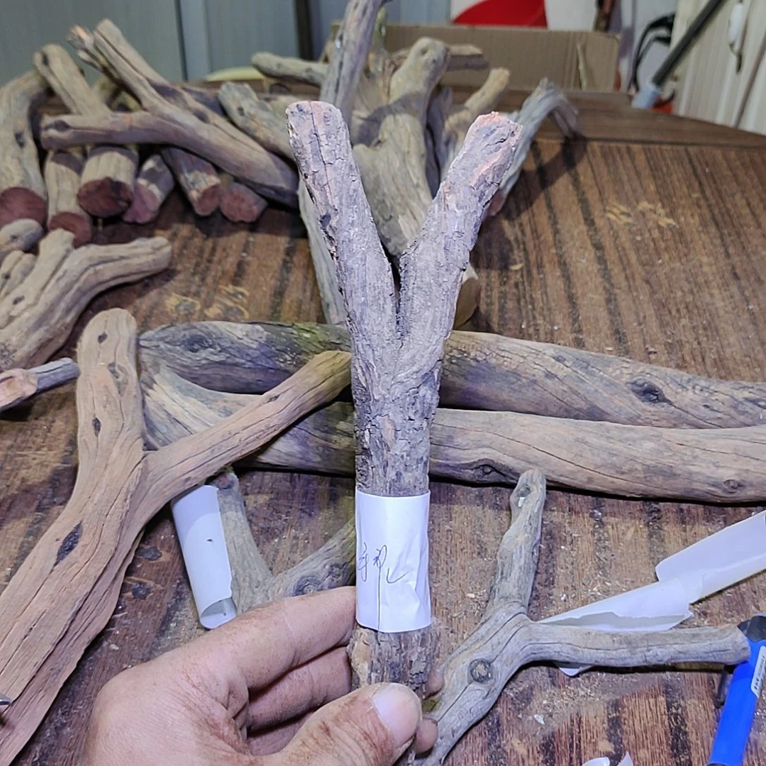 三***作火琉璃原杈，不保沉水慎拍！