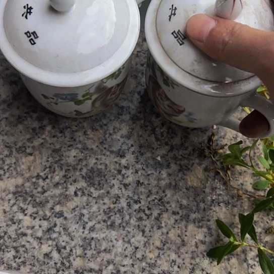 小***选杂色豆（科檀/科特迪瓦檀木）