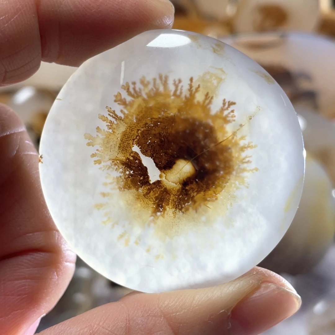 【闪购商品】玛瑙/玉髓颈饰合金制****?