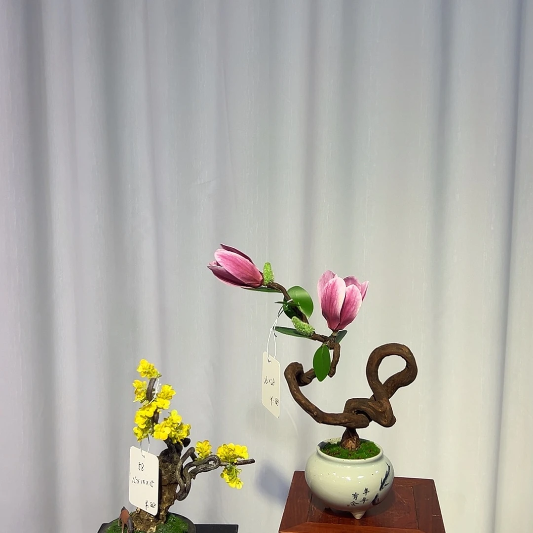 藤木仿真花一物一拍