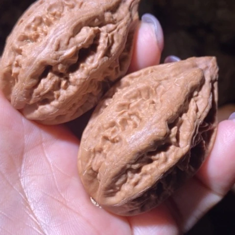 文玩核桃把件东北野生楸子小美12