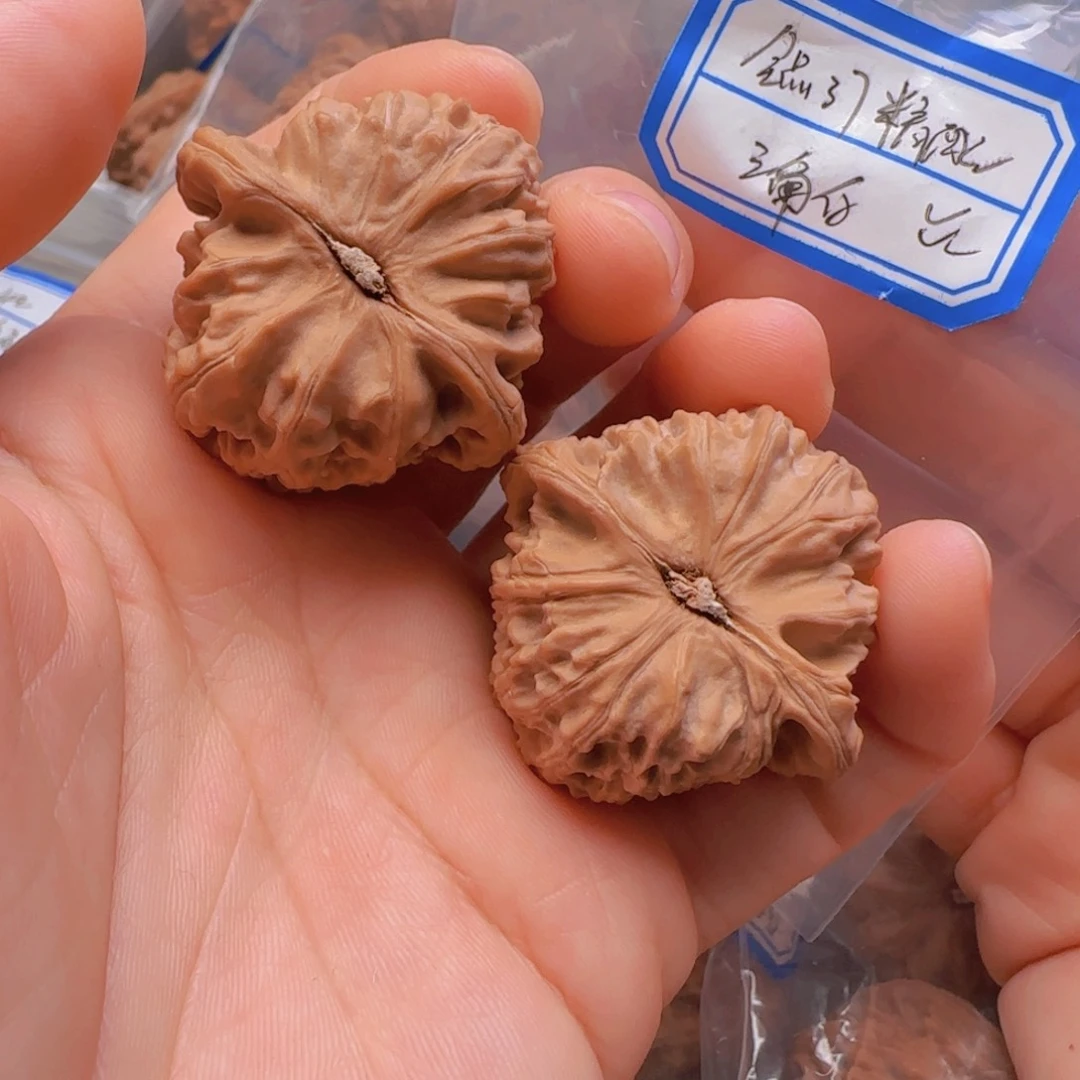 文玩核桃把件侯*发发发