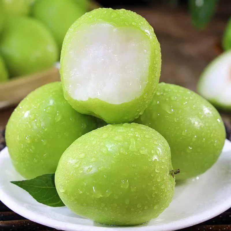 云南高山高海拔种植新鲜种植青枣