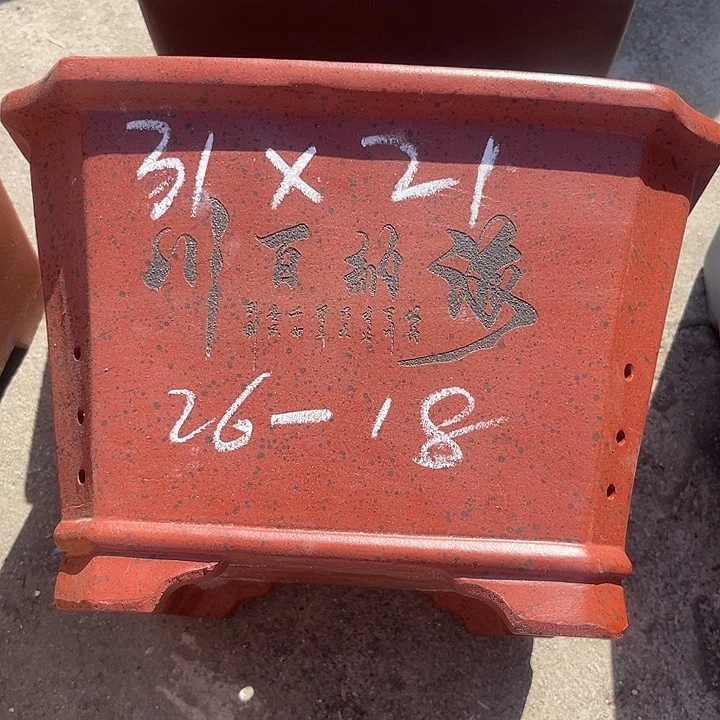 紫砂花盆紫砂花茶