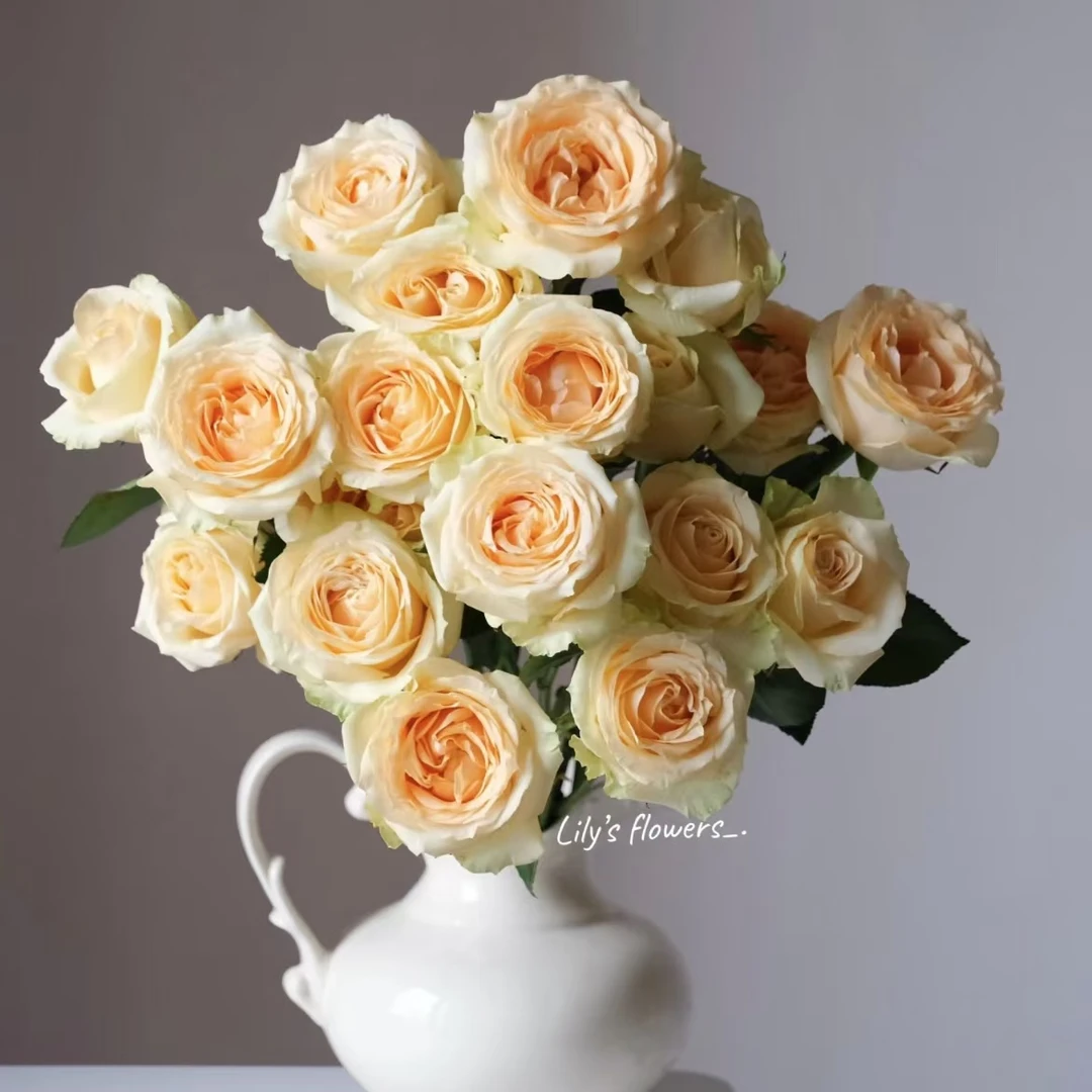 【香槟10枝+橙色芭比3枝+绿心向日葵3枝+洋甘菊1把+叶子1把】