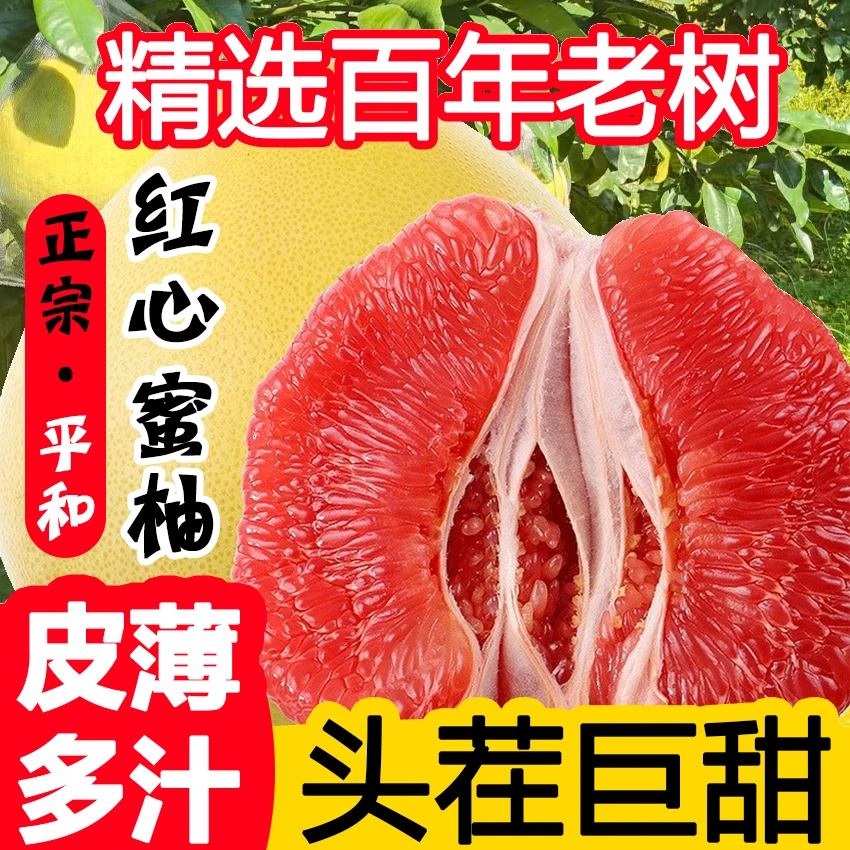 【次日达】924正宗福建平和琯溪蜜柚红心蜜柚当季新鲜水果全国多仓发货福建省