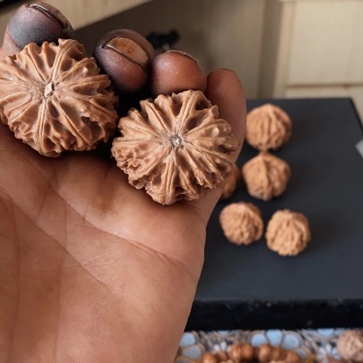 文玩核桃把件初***。秦岭野生一日红