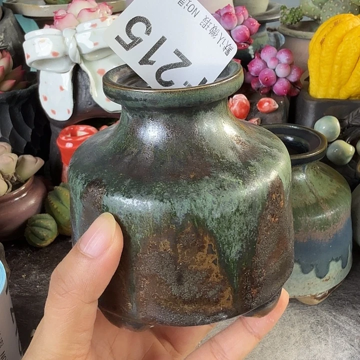 重庆小燕子欢迎大家215