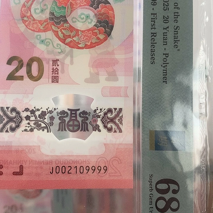 塑料朦胧号狮子9999