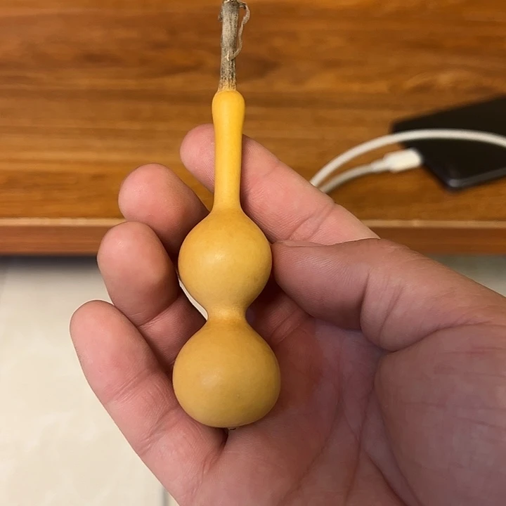 小***文有机玻璃蚂蚁蚂蚁蚂蚁蚂蚁