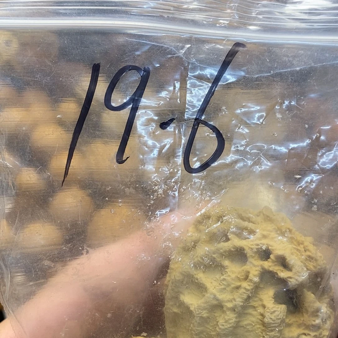 吊坠橄榄核乾坤鬼脸