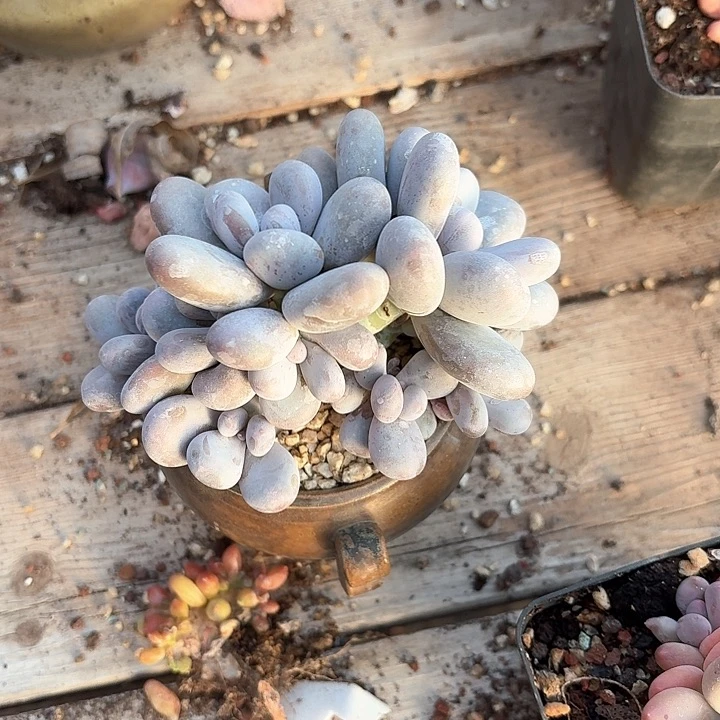 晚*znzkzkzjzjzkzmm452