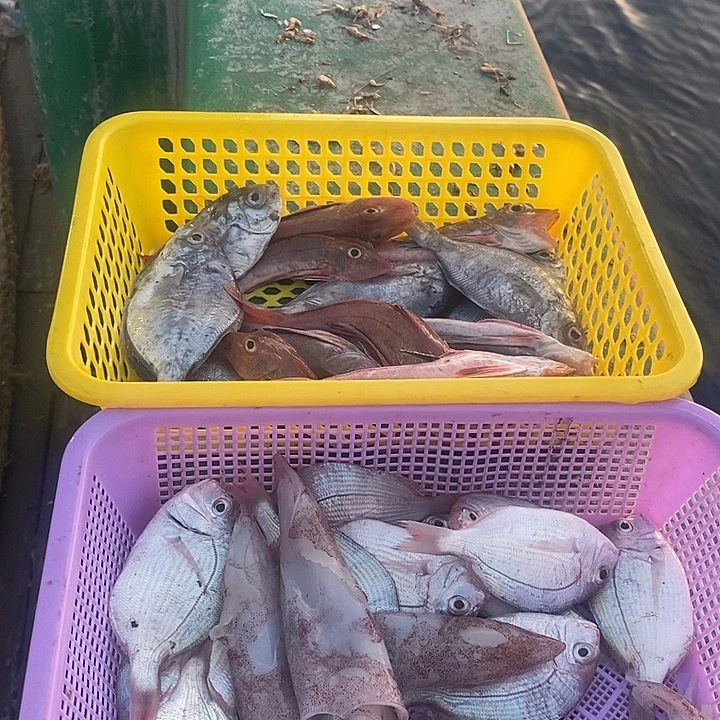 中国大陆海鲜套餐