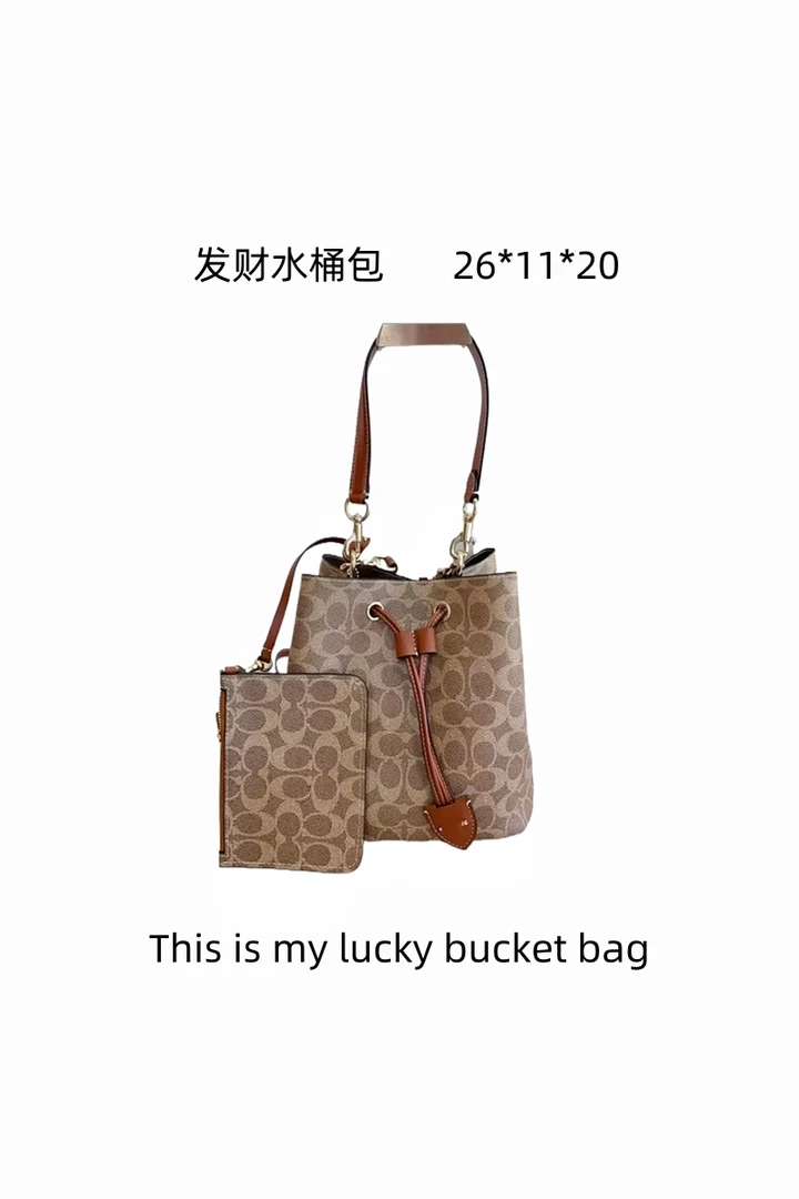 发财水桶包#V243#【26*11*20】2025经典托特包，中号抽绳款