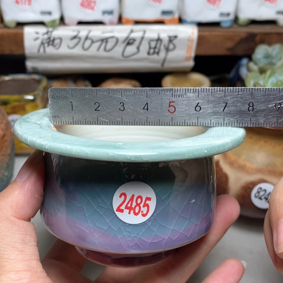 拍5送一个小礼物