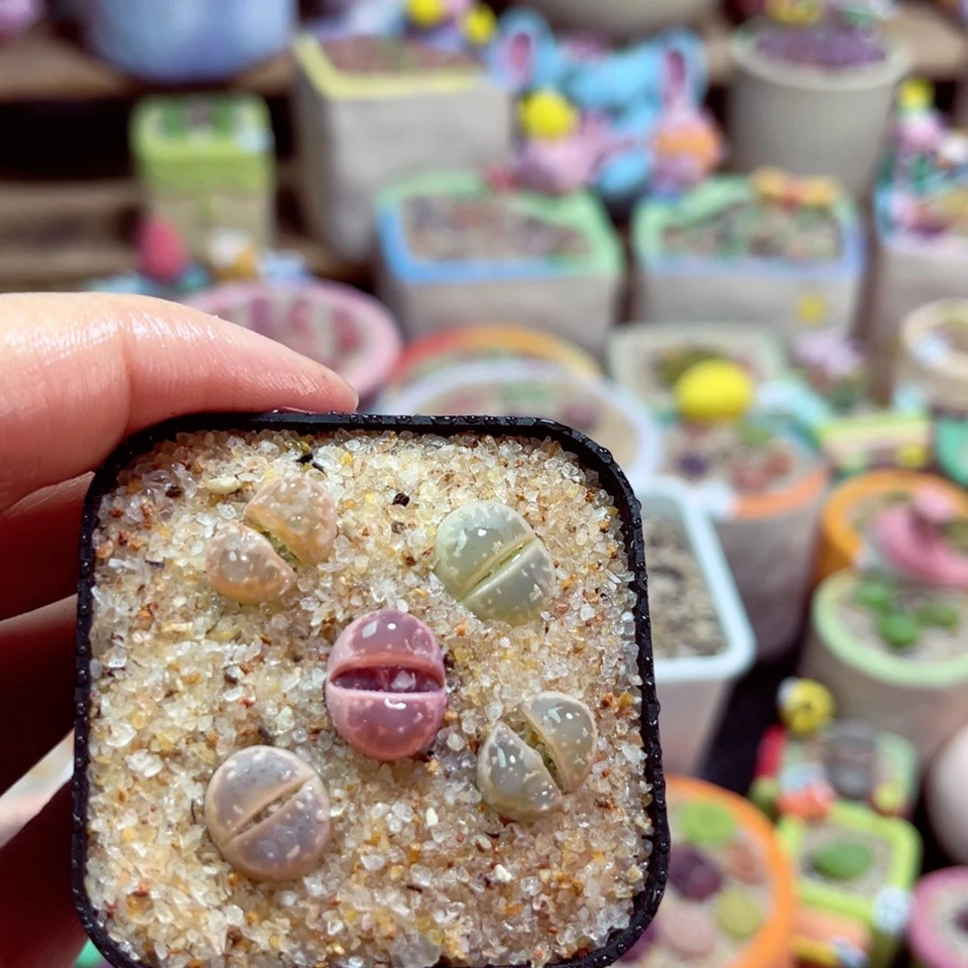 769。8855555888525588